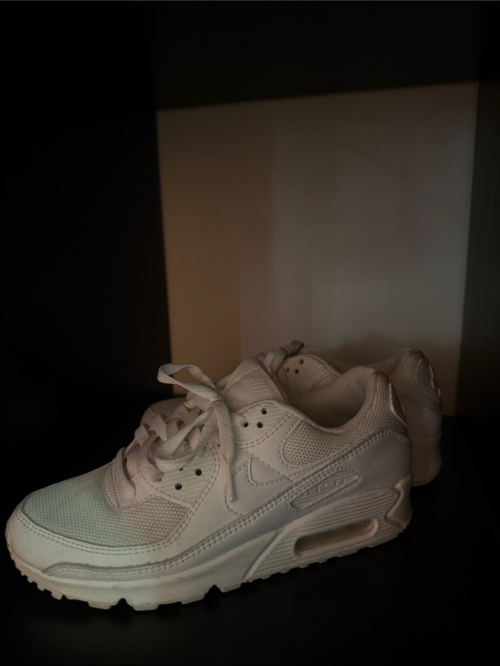 Nike White Air Max Low-Top Sneakers